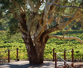 Upper Reach Winery And Cellar Door - Schoolies Week Accommodation 1