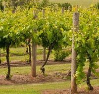 Mt Coghill Vineyard - Schoolies Week Accommodation