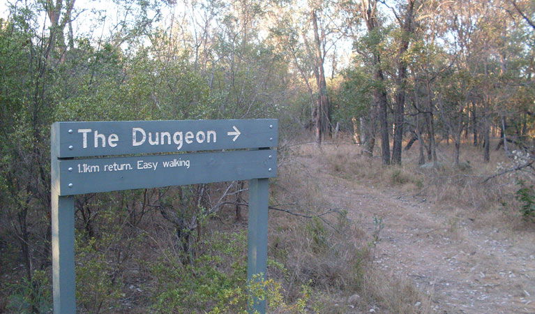 Ashford NSW Schoolies Week Accommodation