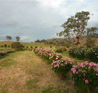 Damasque Rose Oil Farm - Schoolies Week Accommodation