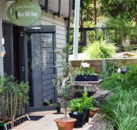 The Lighthouse Olive Mill Shop - Schoolies Week Accommodation