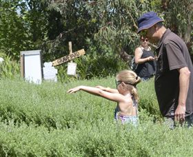 Hedgend Maze And Healesville Laser Sport - Schoolies Week Accommodation 2