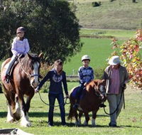 Bathurst Farm Experience - Schoolies Week Accommodation