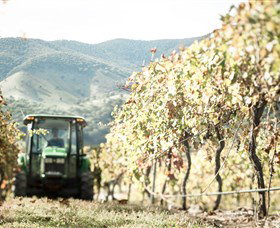 Logan Wines - Schoolies Week Accommodation 5