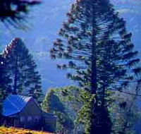 Bunya Mountains National Park - Schoolies Week Accommodation