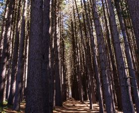Sugarpine Walk - Schoolies Week Accommodation 2