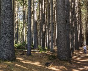 Sugarpine Walk - Schoolies Week Accommodation 0