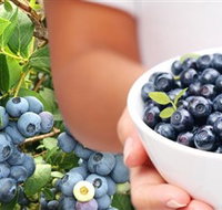 Jolly Berries - Schoolies Week Accommodation