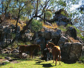  Schoolies Week Accommodation