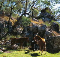 Coomba Falls - Schoolies Week Accommodation