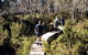 Hume And Hovell Walking Track - Henry Angel Trackhead - thumb 0