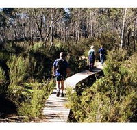 Hume and Hovell Walking Track - Henry Angel Trackhead - Schoolies Week Accommodation