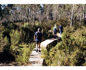 Hume And Hovell Walking Track - Henry Angel Trackhead - Schoolies Week Accommodation 0