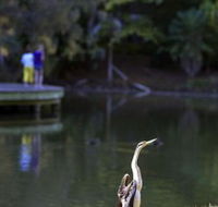 Birdwatching in the South Burnett - Schoolies Week Accommodation