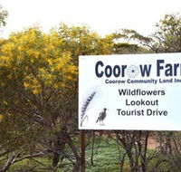 Coorow Farm Wildflower Trail - Schoolies Week Accommodation