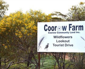 Coorow Farm Wildflower Trail - Schoolies Week Accommodation 0
