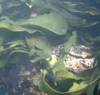 Churchill Island Marine National Park - Schoolies Week Accommodation