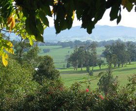 Brandy Creek Wines & View Cafe - Schoolies Week Accommodation 5