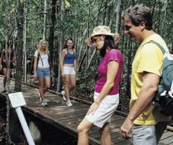 Toowoomba Water Bird Habitat - Schoolies Week Accommodation 1