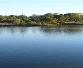 Toowoomba Water Bird Habitat - Schoolies Week Accommodation 2