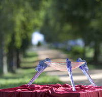 Lillico Glass Studio - Schoolies Week Accommodation