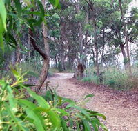 Mount Mutton Walking Trail - Schoolies Week Accommodation