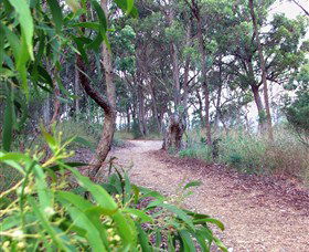 Mount Mutton Walking Trail - Schoolies Week Accommodation 0