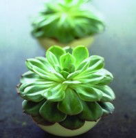 Crossroads Homemaker Centre - Schoolies Week Accommodation 1