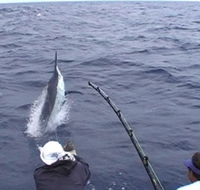 Amokura Charters - Schoolies Week Accommodation