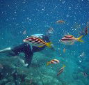 Imagine Cruises - Schoolies Week Accommodation