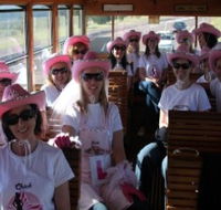 Newcastles Famous Tram - Schoolies Week Accommodation
