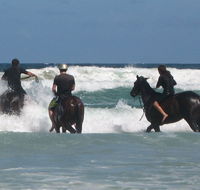 Pegasus Park Equestrian Centre - Schoolies Week Accommodation
