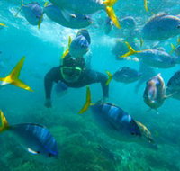 G Adventures - Schoolies Week Accommodation