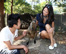 VIP Aussie Gold - Schoolies Week Accommodation 0