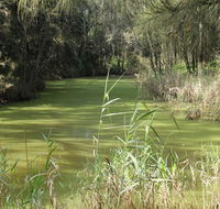 Second Ponds Creek walk - Schoolies Week Accommodation