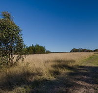 Scheyville horse riding trails - Schoolies Week Accommodation