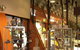 Marion Cultural Centre - thumb 1