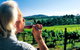 Ashton Hills Vineyard - thumb 0