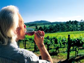 Ashton Hills Vineyard - Schoolies Week Accommodation 0