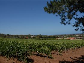 Grancari - Schoolies Week Accommodation 0