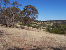 Onkaparinga River National Park - Schoolies Week Accommodation 0