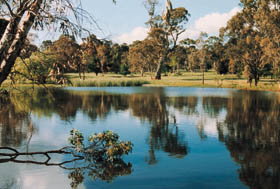 Echunga Golf Club Incorporated - Schoolies Week Accommodation 1