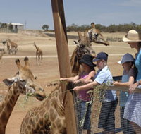 Monarto Open Range Zoo - Schoolies Week Accommodation