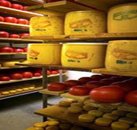 Alexandrina Cheese Company - Schoolies Week Accommodation
