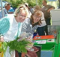 Victor Harbor Farmers Market - Schoolies Week Accommodation