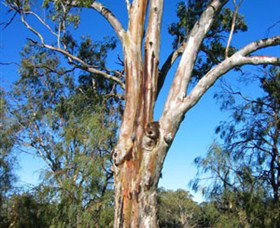 ODonnell Park At Curlwaa - Schoolies Week Accommodation 2