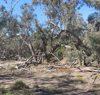 Mirri Mirru Yurun - Schoolies Week Accommodation