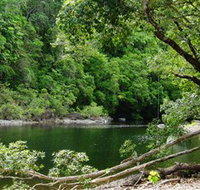 Broadwater Abergowrie State Forest - Schoolies Week Accommodation