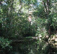 Wabunga Wayemba Charmillan Creek walking track - Schoolies Week Accommodation
