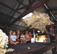 Shear Outback the Australian Shearers Hall of Fame - Schoolies Week Accommodation